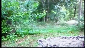 Outdoor Sex For busty Sthis guymale