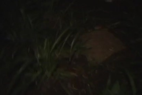 shelady whores 46 Costanza