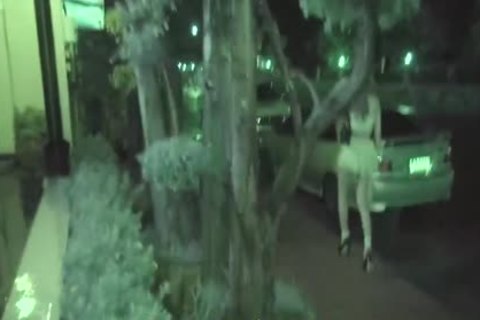 Night city Ladyboy Dream