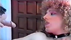 1977 Vintage tgirl Porn Classic