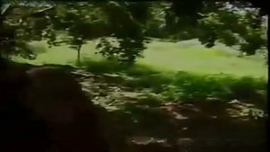 jizzd irrumation And pooperhole
 outdoors